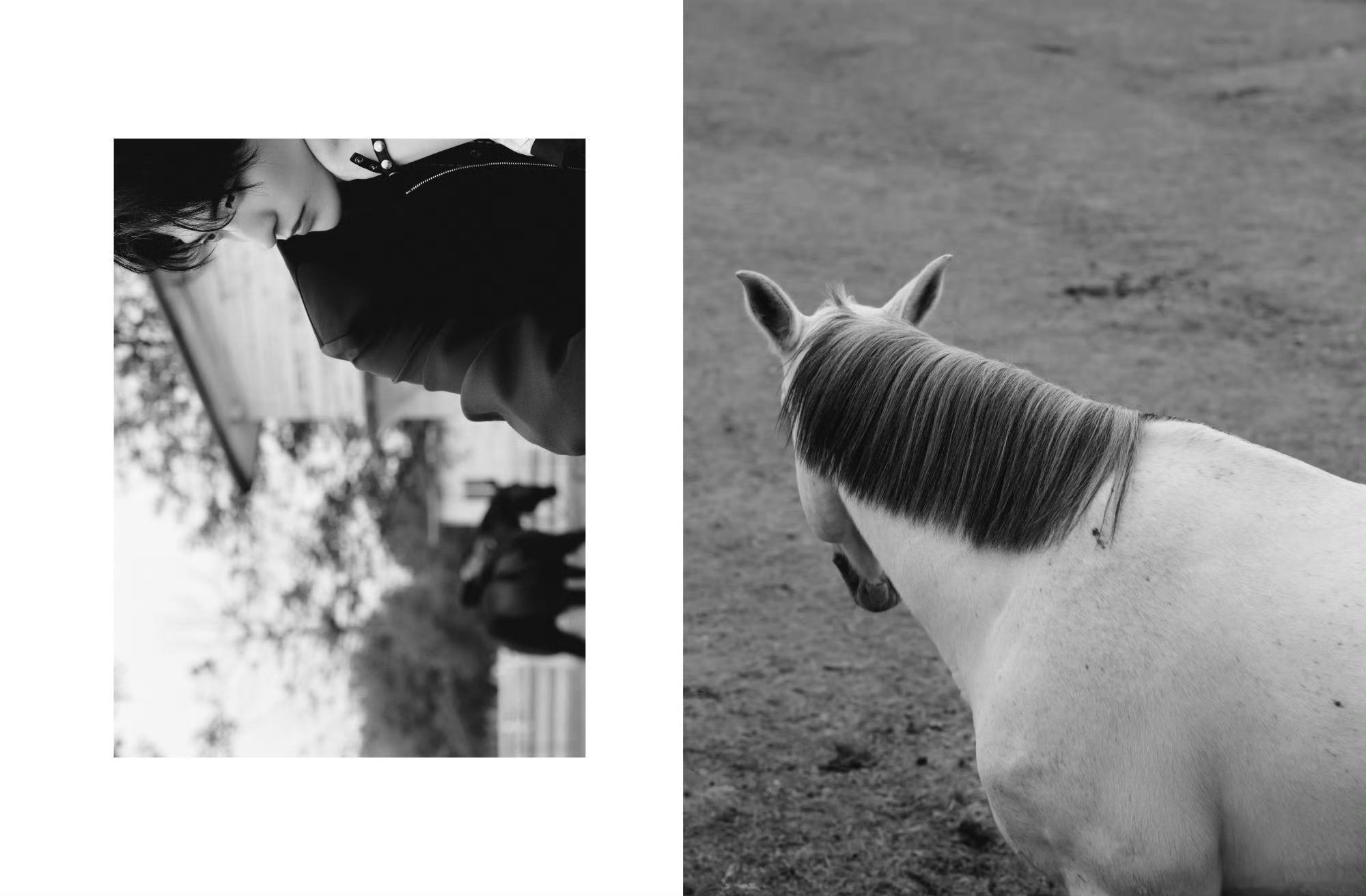 今年最喜欢的一组图有种超时空对话的感觉…拍的好好