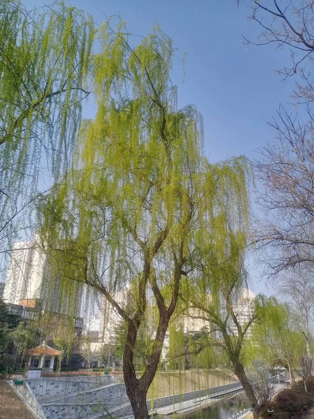 思考是一件艰难的事
这就是为什么
大多数人选择评判
——卡尔.荣格