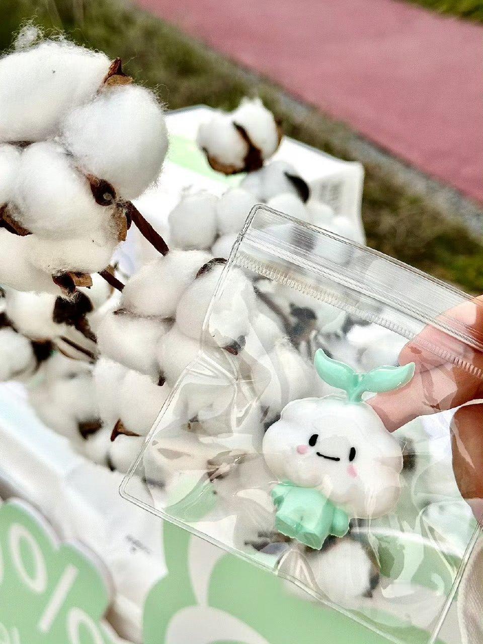 在上海街头转角遇到新疆棉田了 上海街头的惊喜！网友撞见新疆棉田，大片毛茸茸棉花与