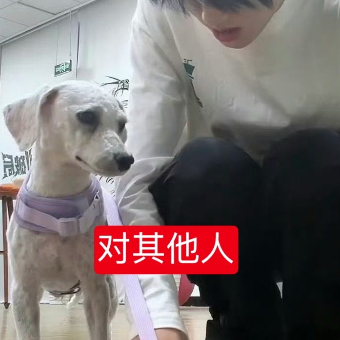 我双标： 