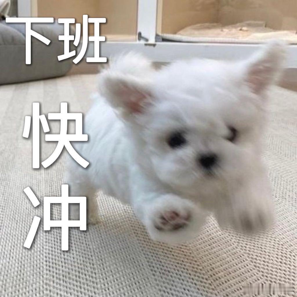 撒贝宁撤回了一个下班 被撒老师这波撤回戳中笑点！像藏了颗糖又乖乖交出来的小朋友，