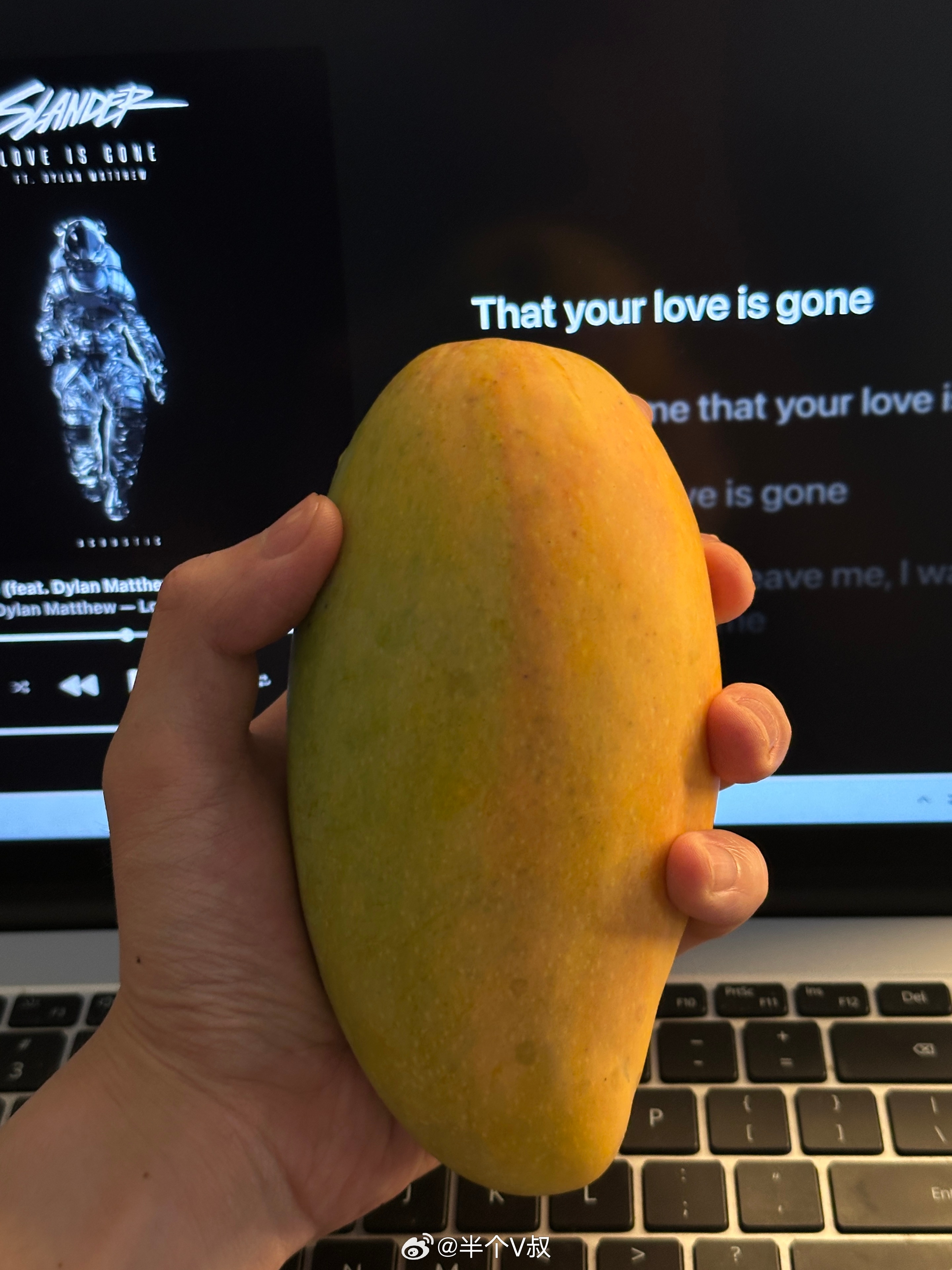 和你们那些不吃芒果的人说不清楚🥭 