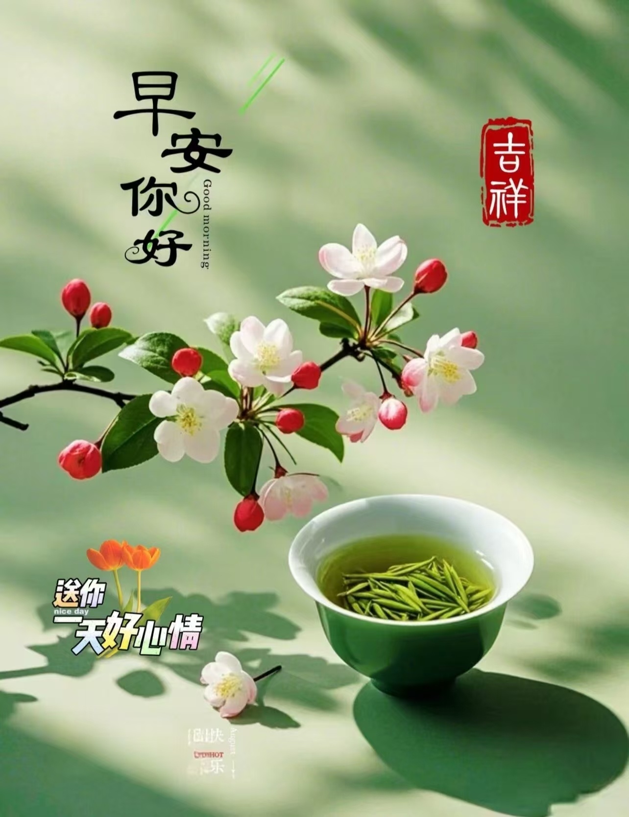 分享图片 