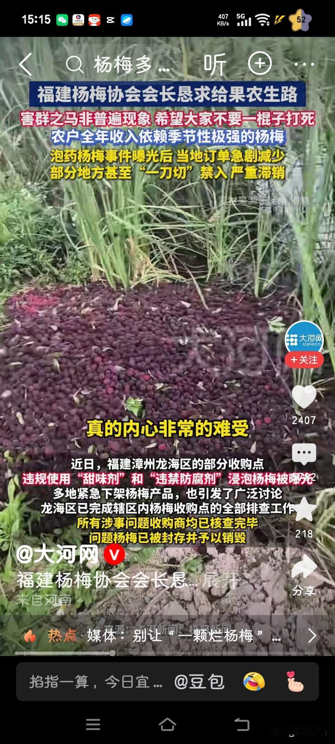 杨梅事件中，责任究竟该归咎于谁，是农户，还是监管部门？无论责任在谁，最终遭受损失