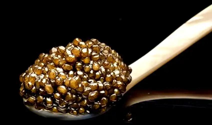 西方高端奢侈品慌了，中国拿 44% 份额，普通人能吃？
谁能想到，曾被称为 “黑