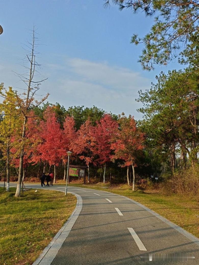 印台山公园保姆级路线攻略🌿

刚从印台山公园回来，整理了一份超实用的路线规划！