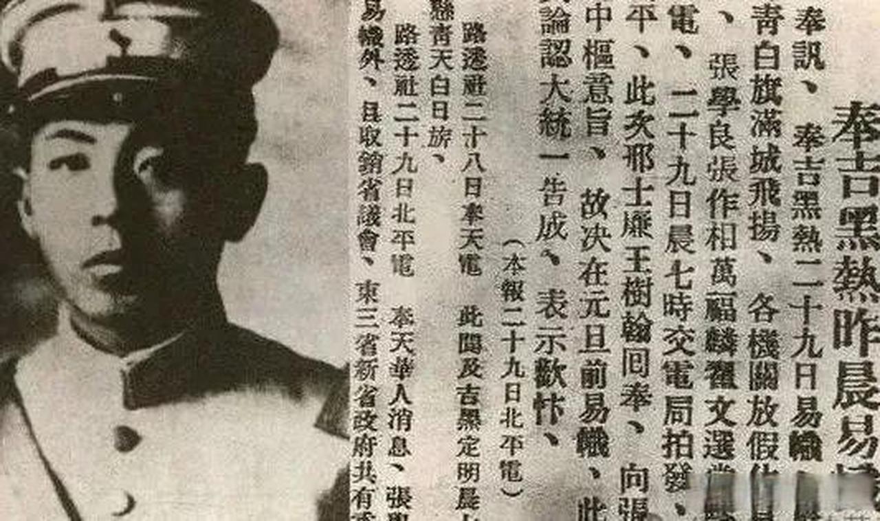 “东北易帜”的背后，隐藏着哪些力量的博弈？
1928年12月29日，张学良正式宣