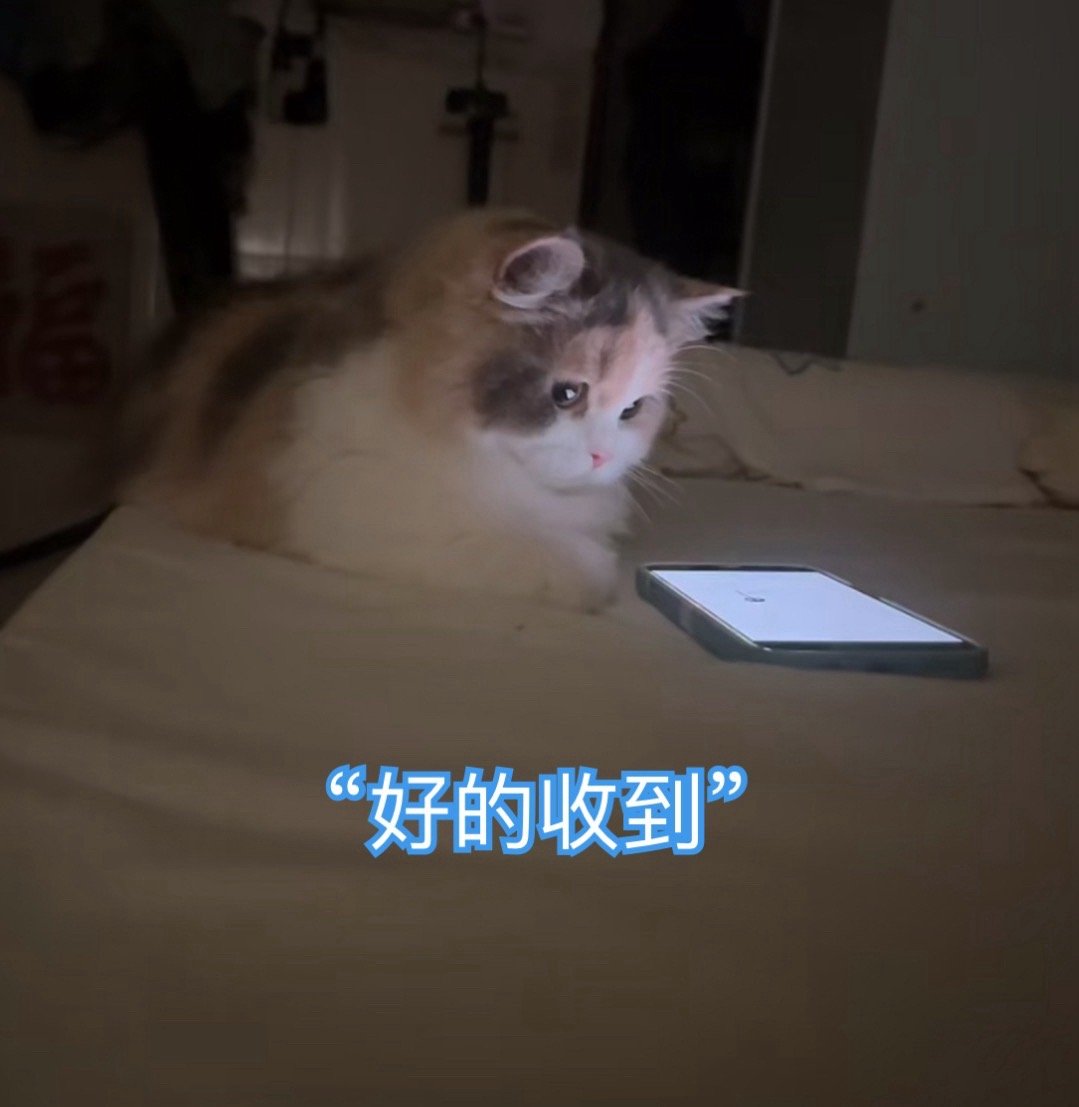 #开学使用频率最高的手机功能#手机真的，有很多意想不到的作用。除了刷门禁卡、安排