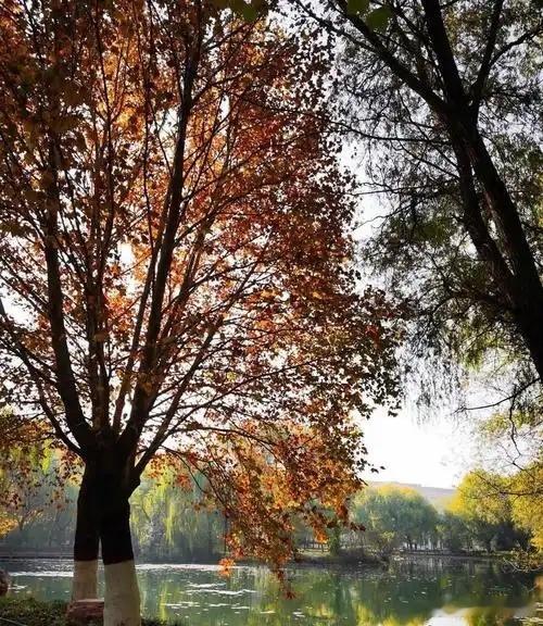 心里话        与人方便春常驻，为己留路福永随。     