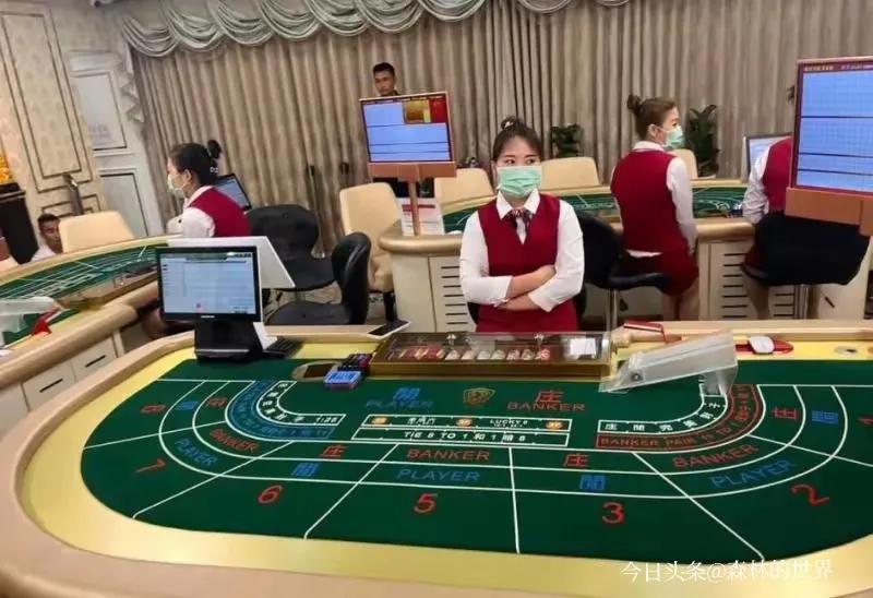 那个打算让赌场合法化，刺激经济的《综合娱乐场所法》修订版草案，被撤回啦！7月9日