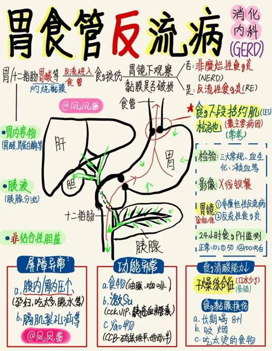 📖医学生笔记｜胃食管反流病 建议点赞收藏
