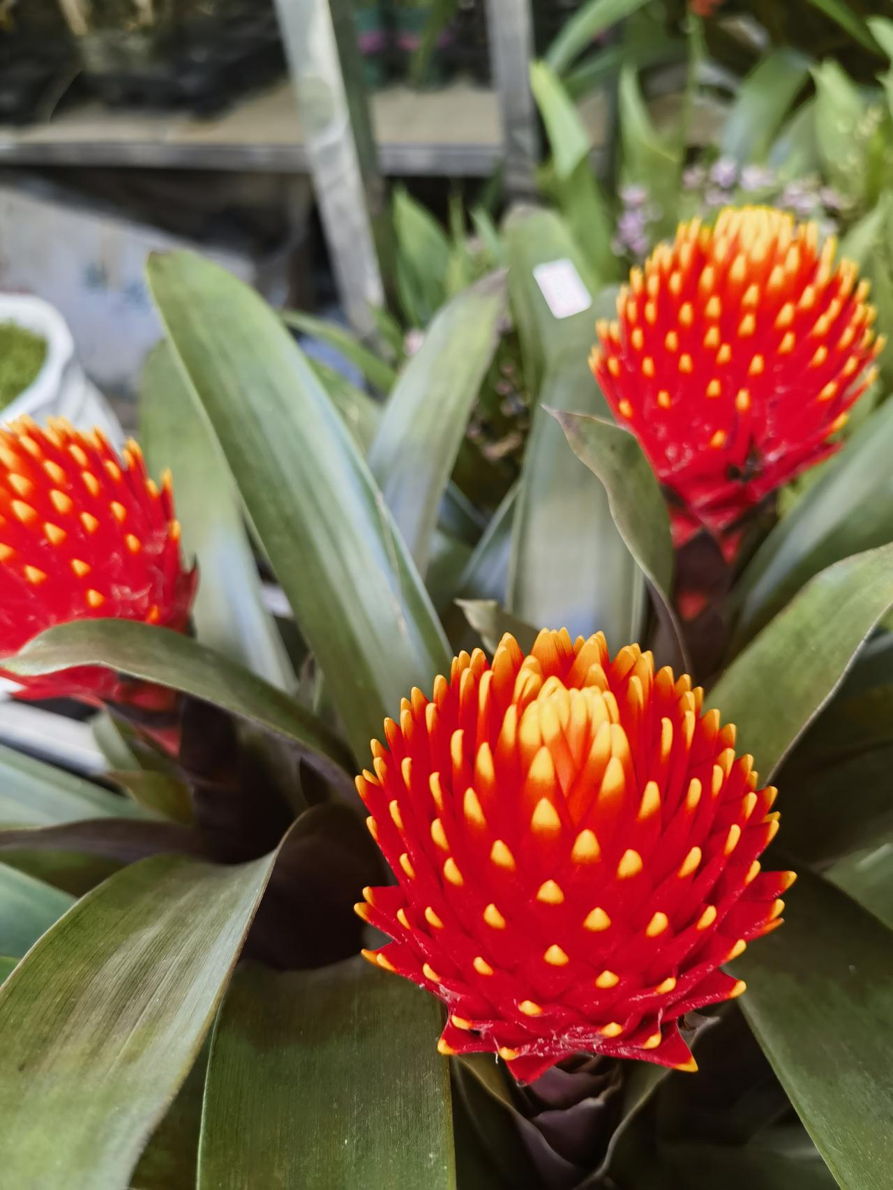 授人以鱼，不如授人以渔；给企业输血，不如助企业造血。
企业化解债务，不能只依赖资