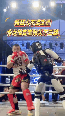 董教头：好家伙，你这机器人根本不讲武德，专攻下三路偷袭！

机器人：格斗核心，讲