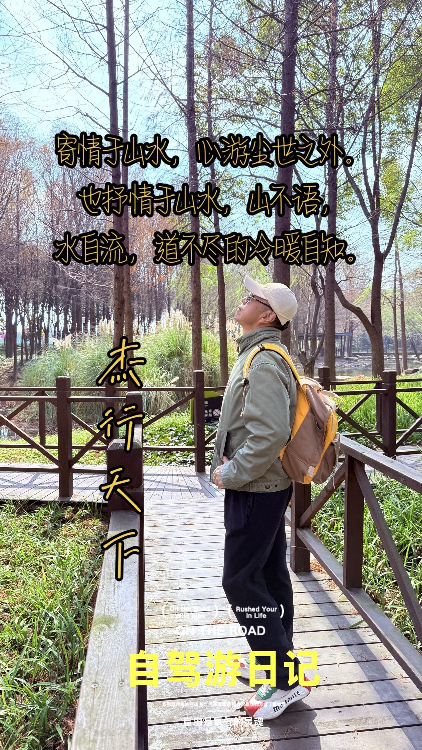 寄情于山水，心游尘世之外。