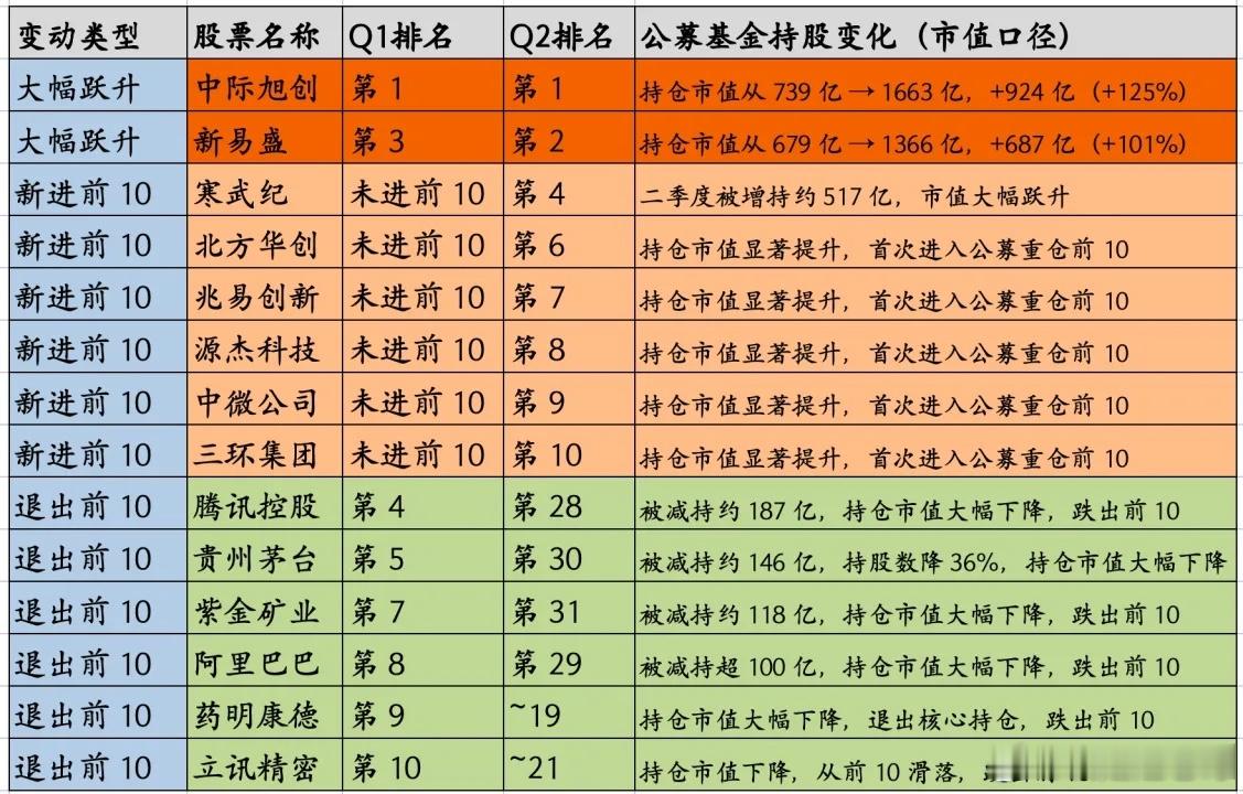 二季度公募基金全面拥抱了AI科技，公募基金的前十大持仓最近全部公布了，复盘后，我