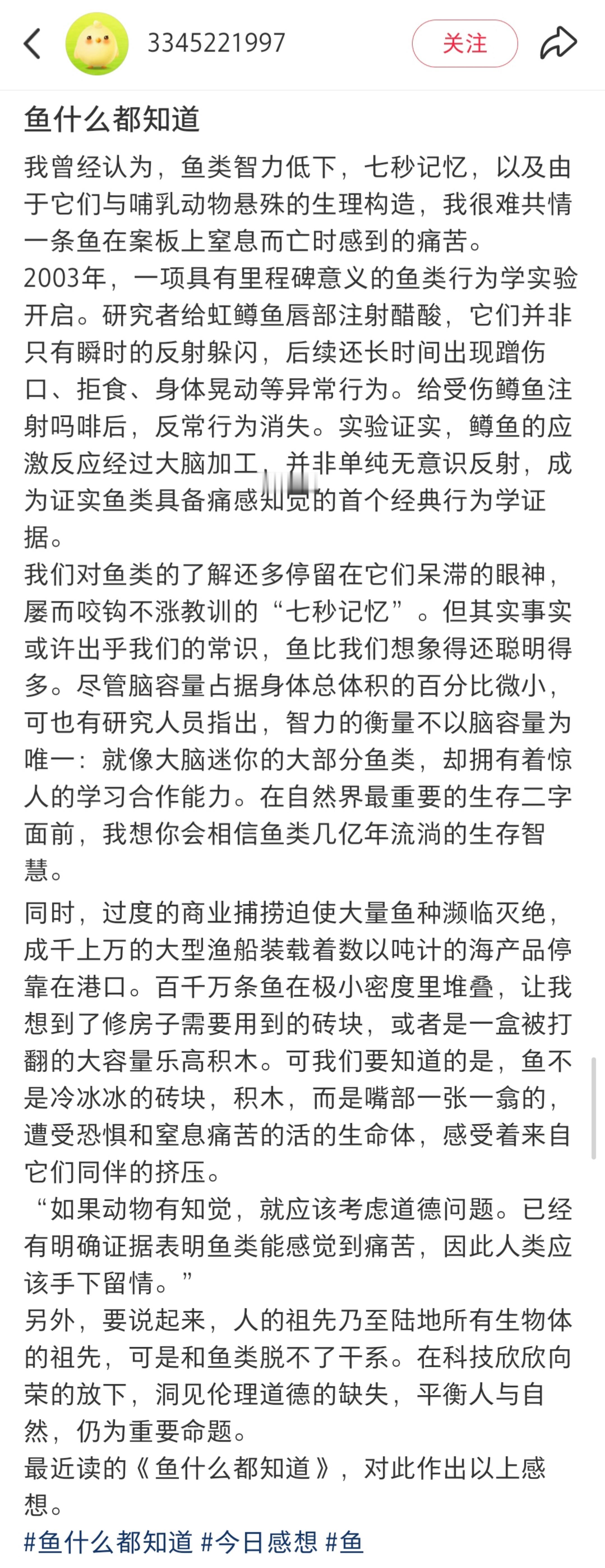 鱼什么都知道 ​​​