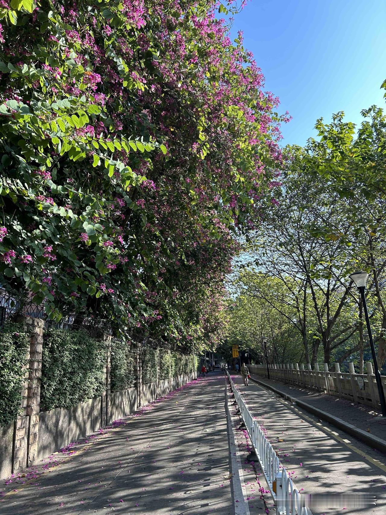 建议那些有着自己的信仰，相信玄学的朋友，

还是不要和那些一点都不相信玄学的朋友