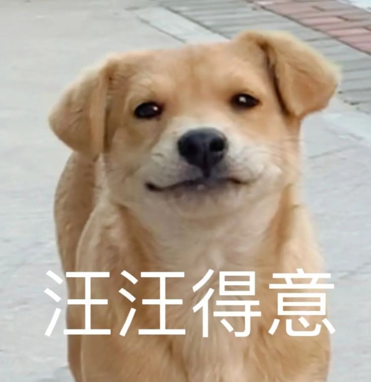 《空枪》看完从一开头，1994年几个字一蹦出来我就笑了年份（1995左右的回归故
