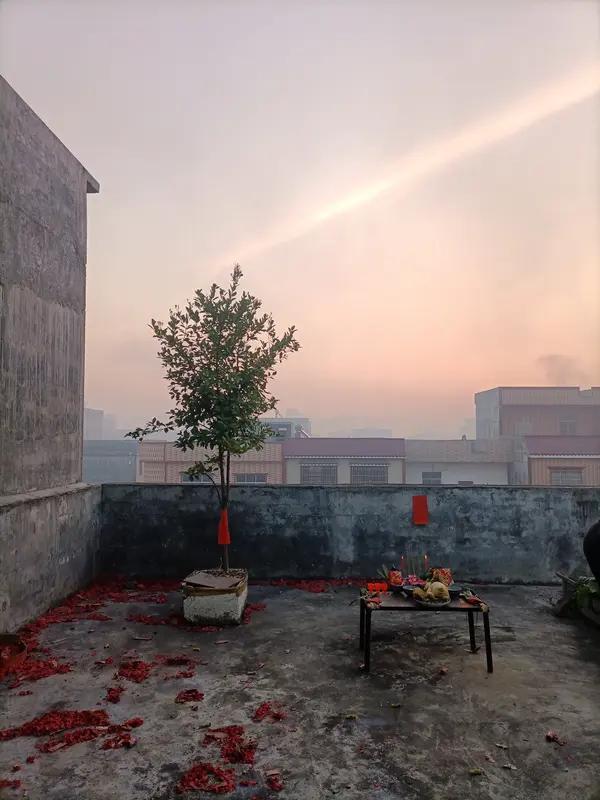 初一早上六点，新年的第一天就这么开始了。窗外还带着夜的静谧，可年的热闹已经在心底