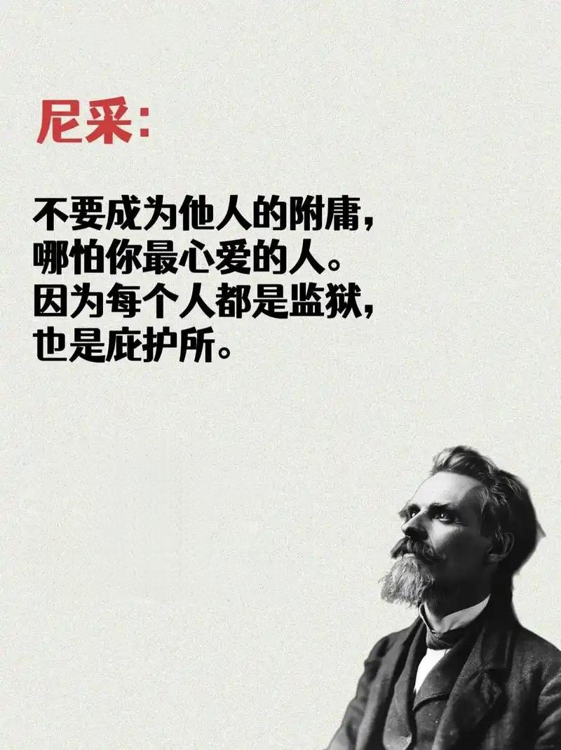 在《观念的跃升》中，菲利普·费尔南多-阿梅斯托如此评价尼采：“尼采是一位失意而偏