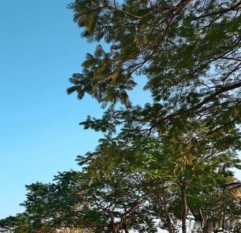 这样的女人就该挨打、离婚。一女子，结婚了，有了一个孩子，她出轨了自己已婚的客户2