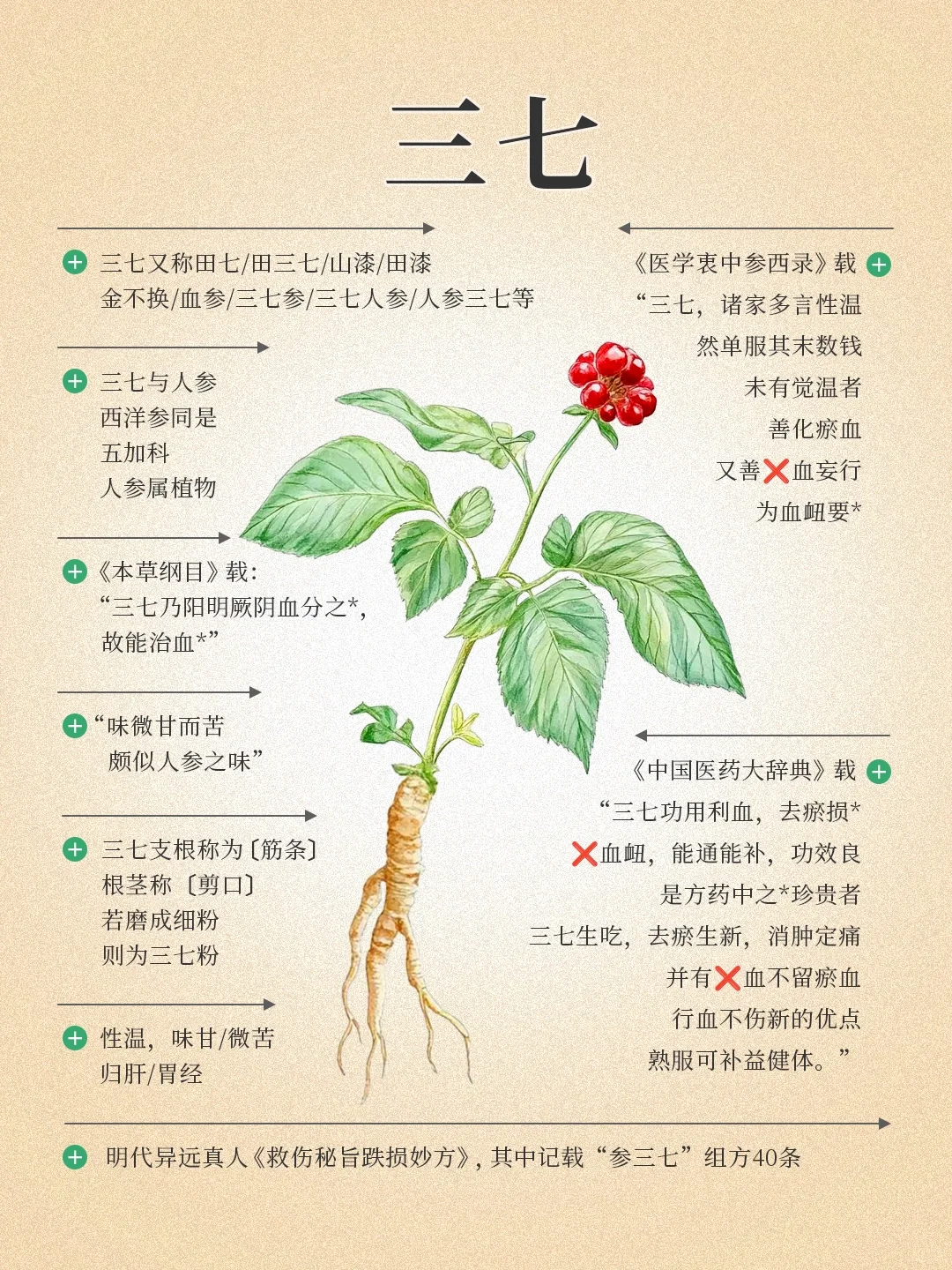 图解三七，你不知道的事