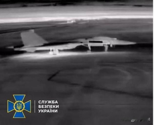 乌军无人机摧毁俄军两架苏-27战斗机
12月19日夜晚，乌克兰安全局远程无人机再