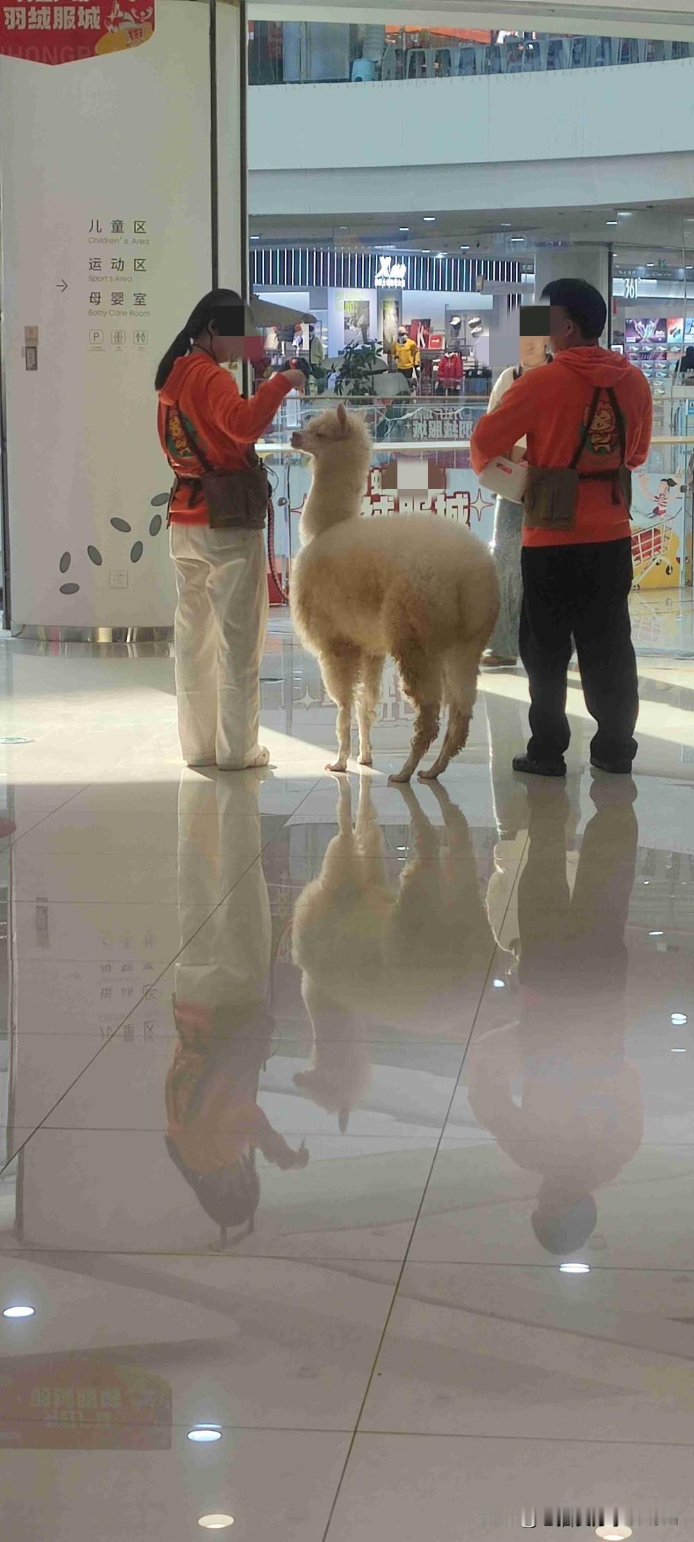 我的今日状态：💰期待暴富
我这里的天气：☀️晴天
现在所有的老板都喜欢招年轻人