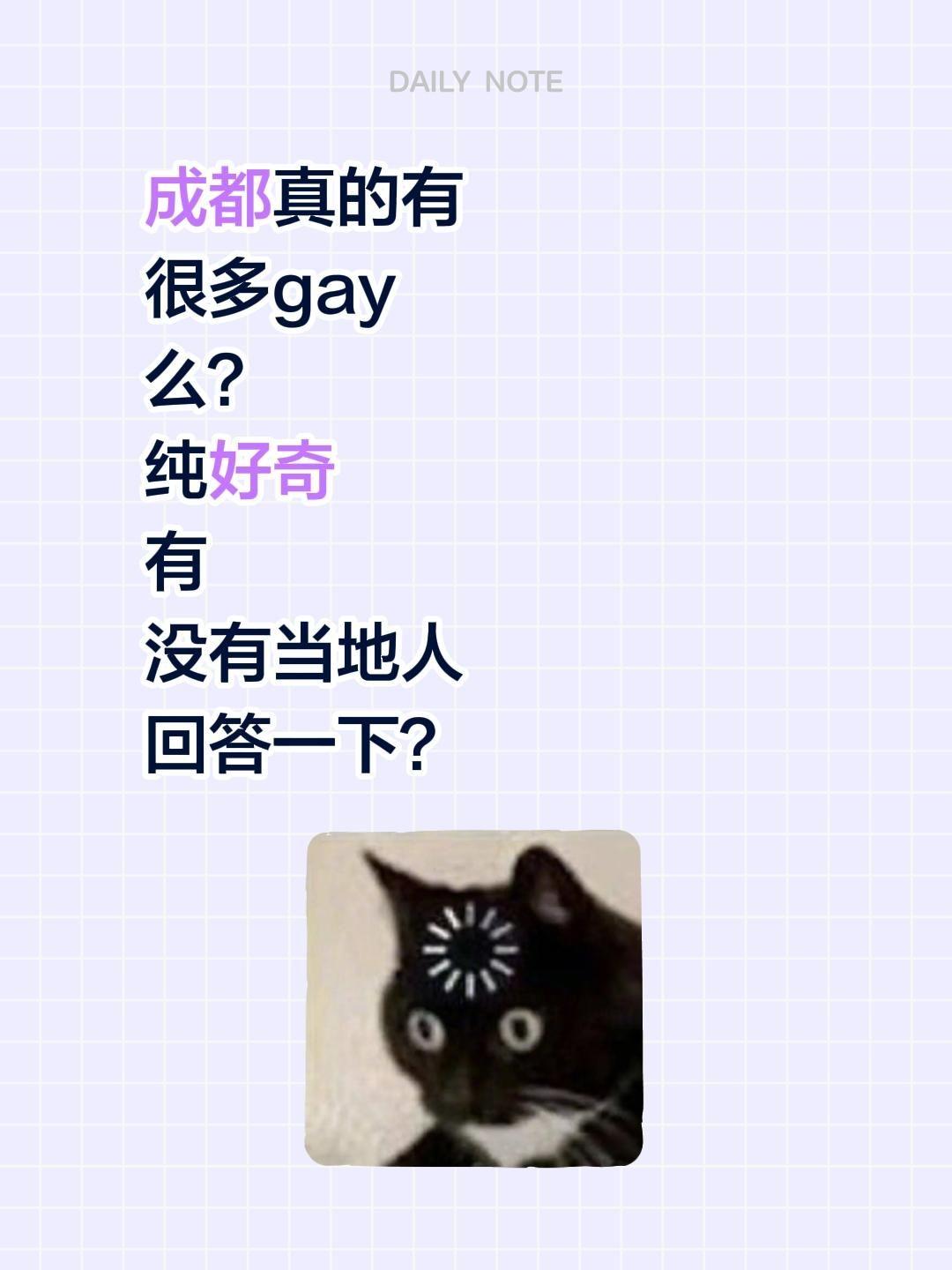 成都真的有很多gay么？ 纯好奇 有没有当地人回答一下？