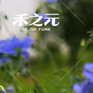 蓝花宿根亚麻（小众开花草本）✅种植方法- 土壤：沙质透气土，排水一定要好，土太肥