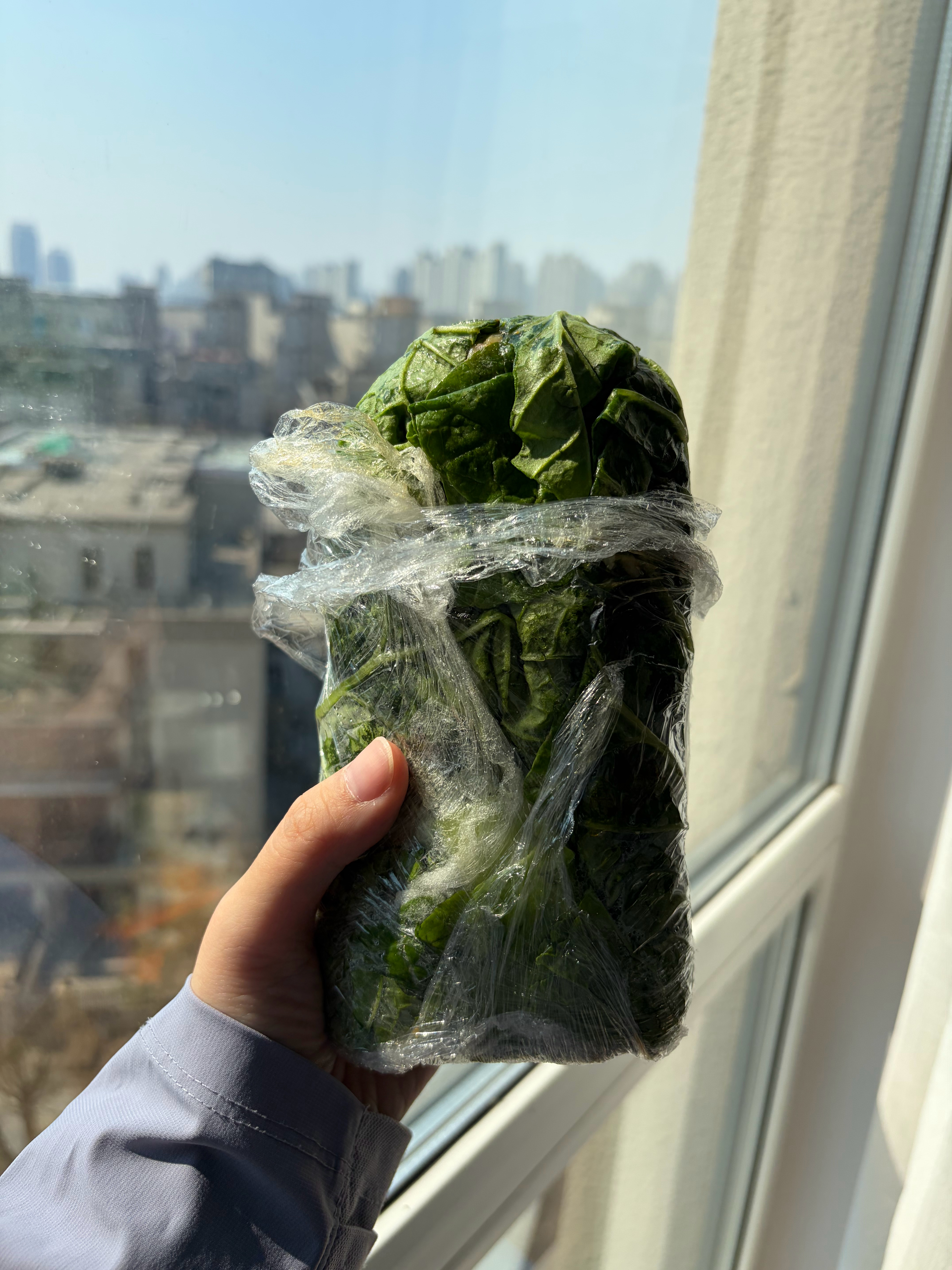 想到自己来东北这么多次还从来没有吃过饭包于是……买了一个……但我没想到它能这么大