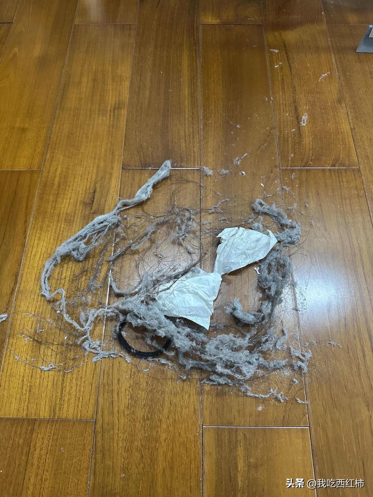 为什么我的房间那么多灰尘毛
只要一个星期不扫，我的房间就会那么多灰尘，我的房间平