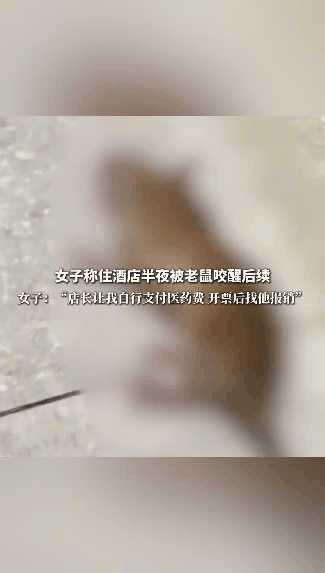 “太膈应人了！“江西，女子入住全季酒店，谁知枕头中竟然藏着老鼠，半夜啃咬女子胳膊