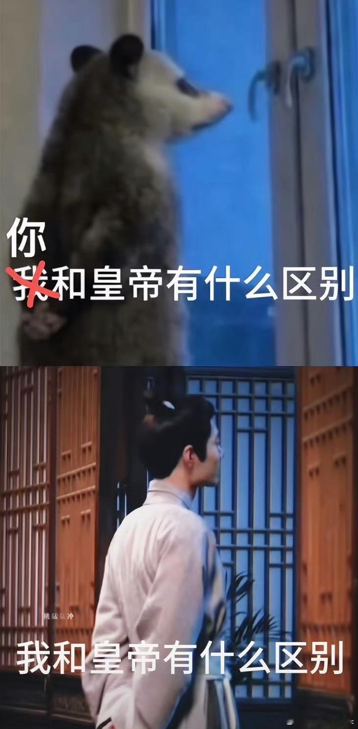 肖战和背手负鼠有什么区别？ 