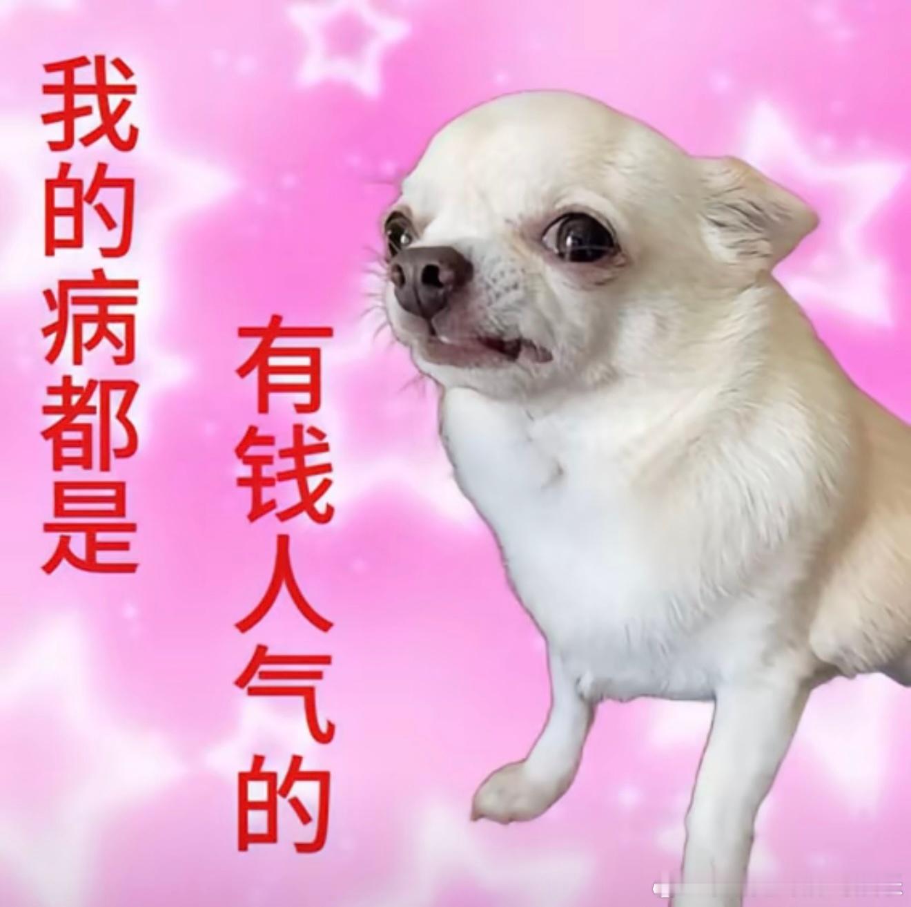 建议大家减少对日常琐事的决策时间无数细碎的选择堆叠起来，慢慢偷走我们的时间与热情