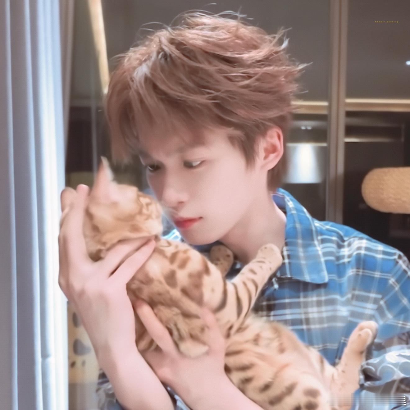 梓渝  猫和他，谁更可爱 