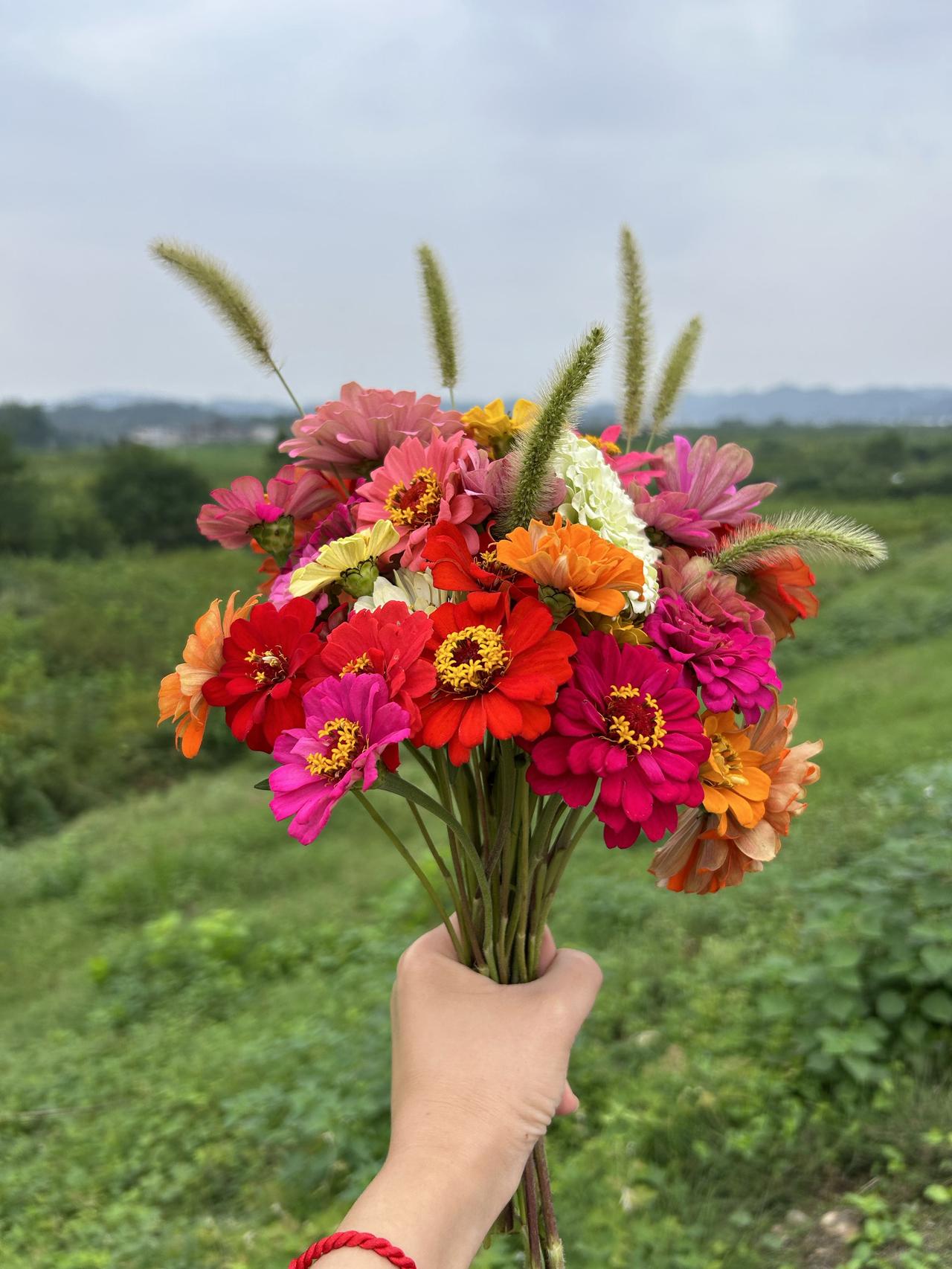 今年春天最想实现的心愿天天开心！