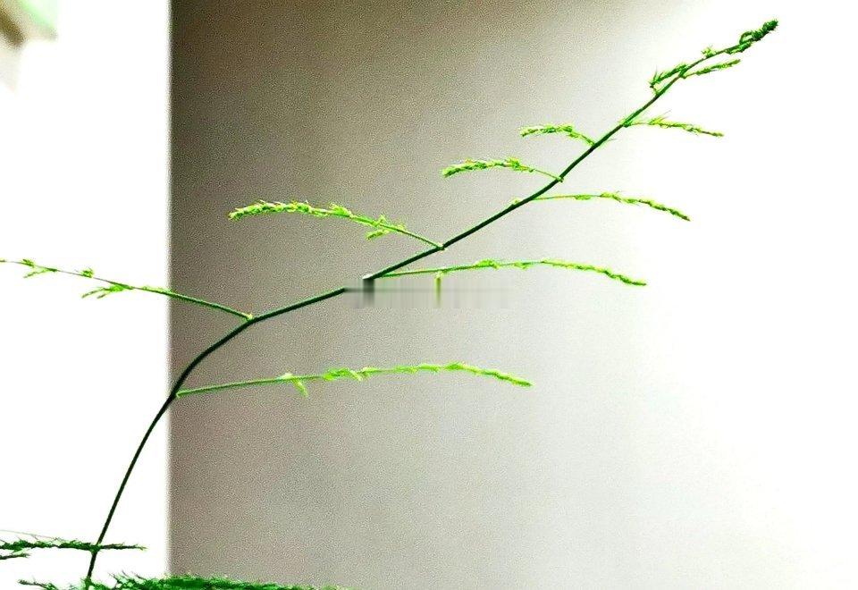 突发官媒发声！高位降温信号来袭？最新市场消息传来，盘面迎来明显降温信号！证券时报