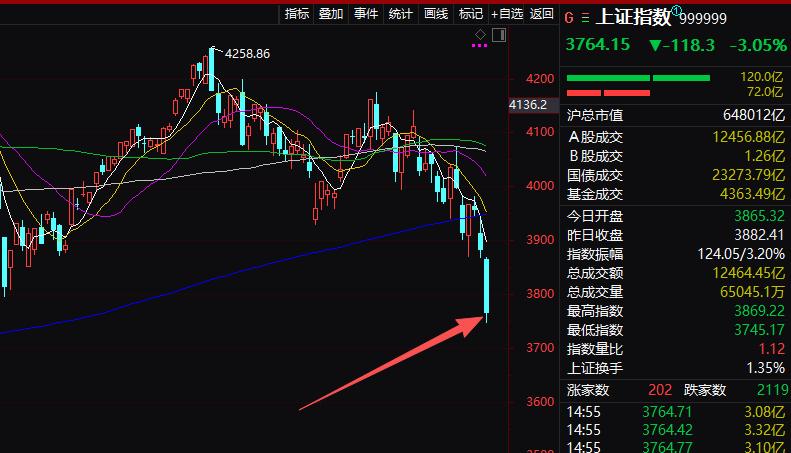 哎呀。科创板和创业板指数都大跌7%，上证不但失守3800了点，还一举创下了今年上