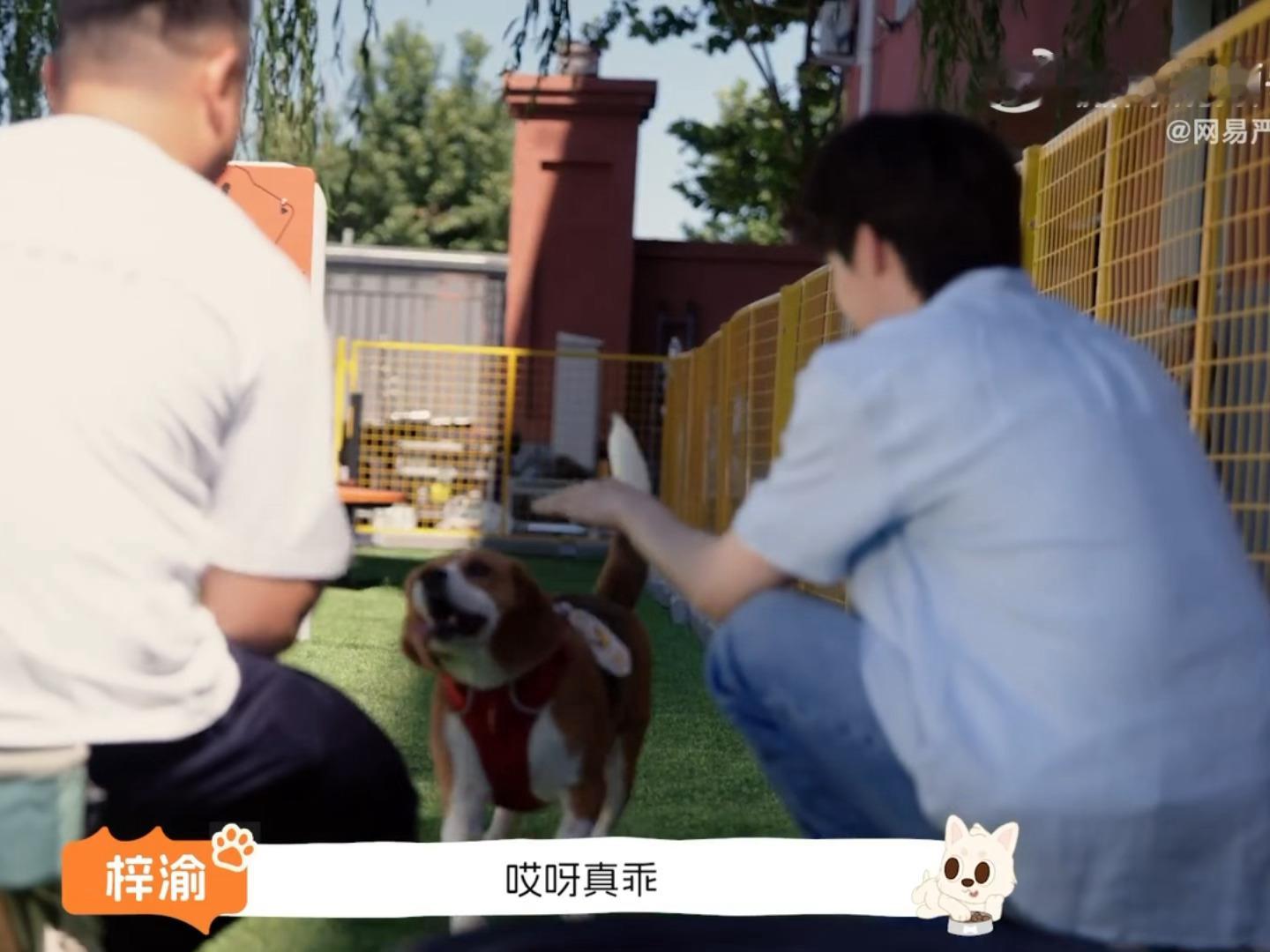 我炸了 