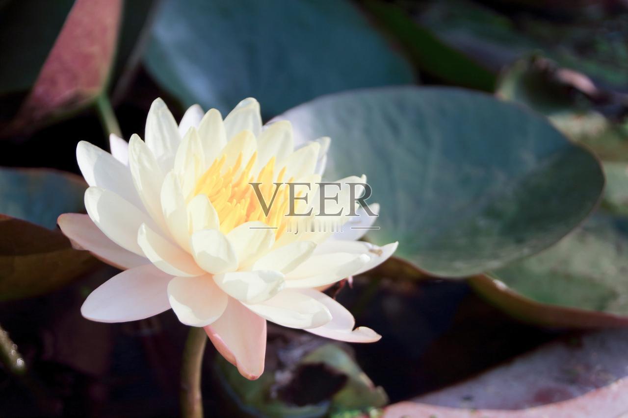 上联“青竹枝枝秀”：青翠的竹子，每一根枝条都挺拔秀丽，尽显苍劲清雅之态；
下联“