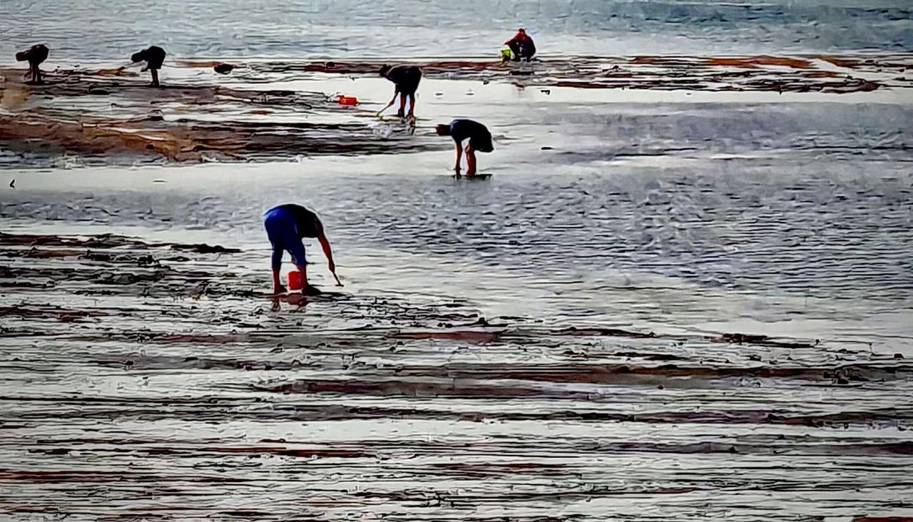 滩涂浸在浅光里，木柱的影斜斜铺着。红衫沾了潮意，白桶晃着细碎的海味，连脚步都裹着