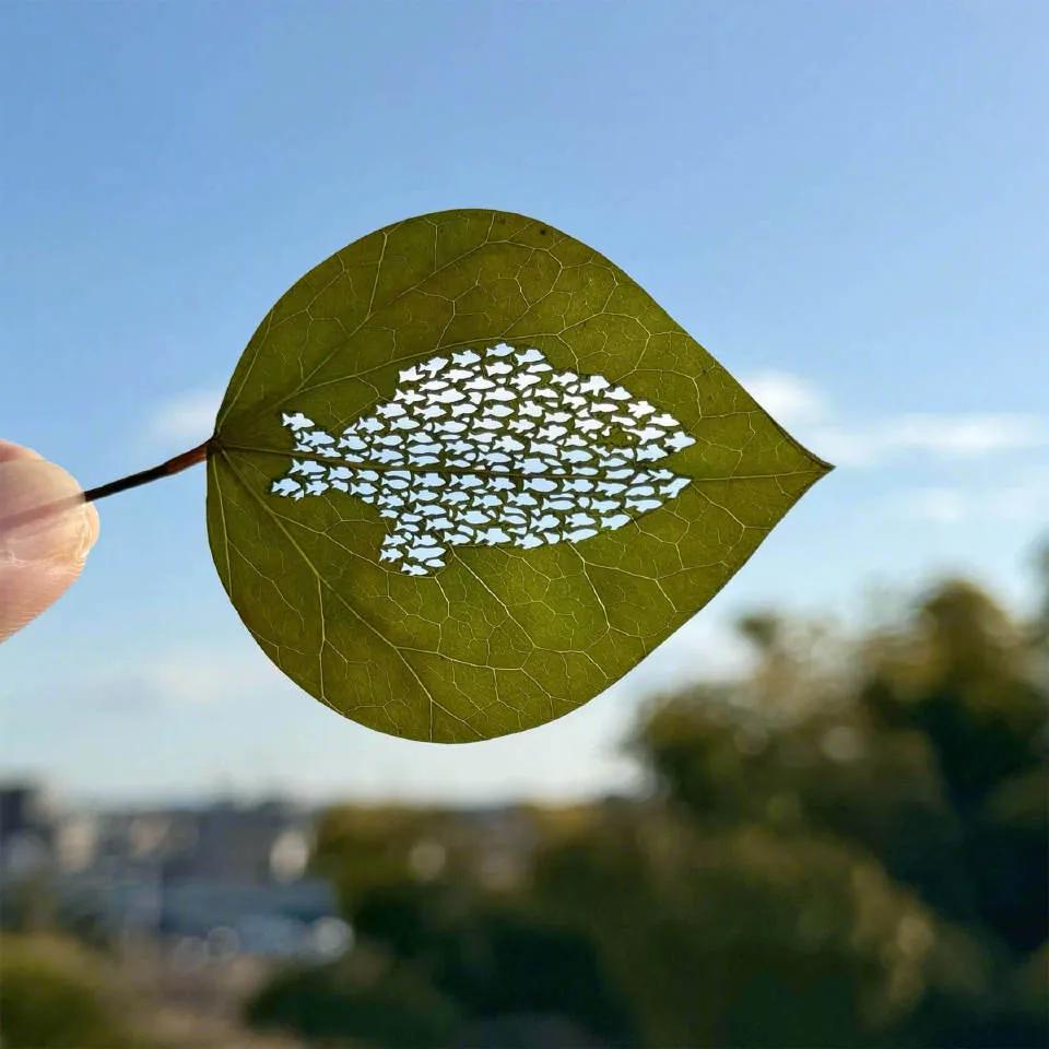 日本艺术家 lito_leafart 简直是个“树叶魔术师”！他叫 Lito L