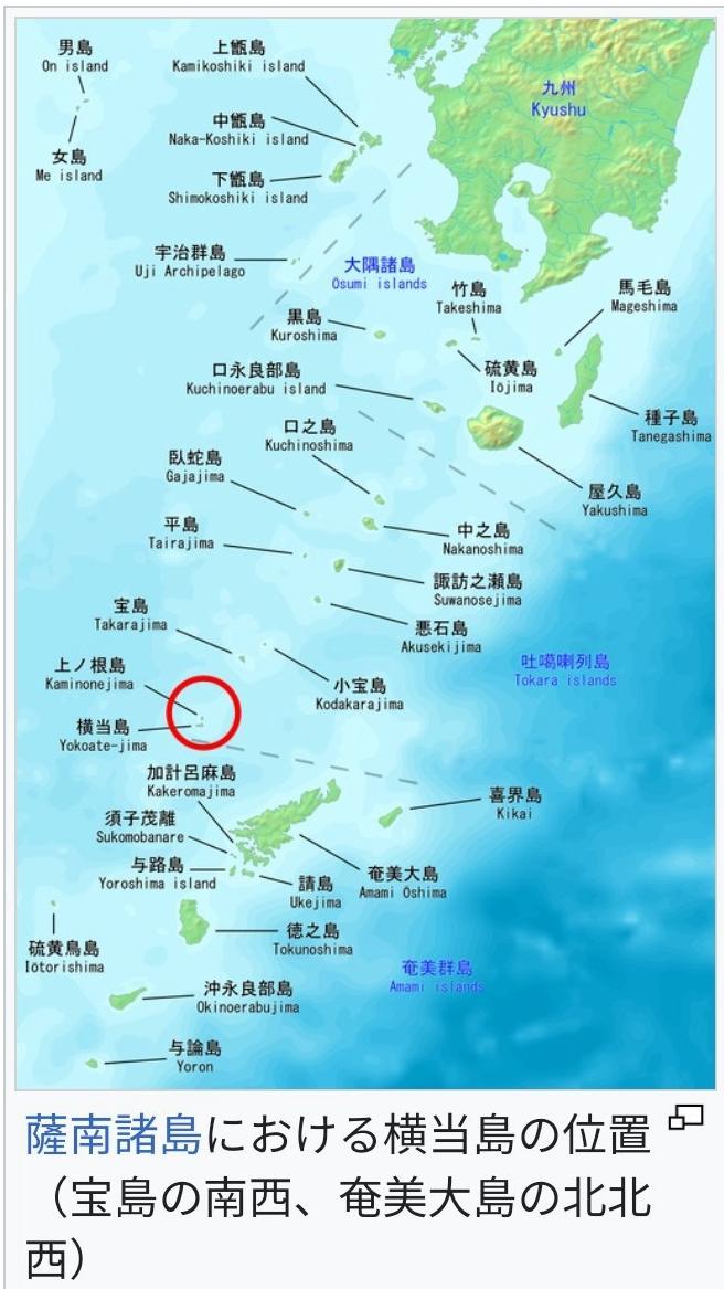 礼尚往来，你来一艘军舰，我去一支驱护编队。
4月19日，海军组织133号舰艇编队