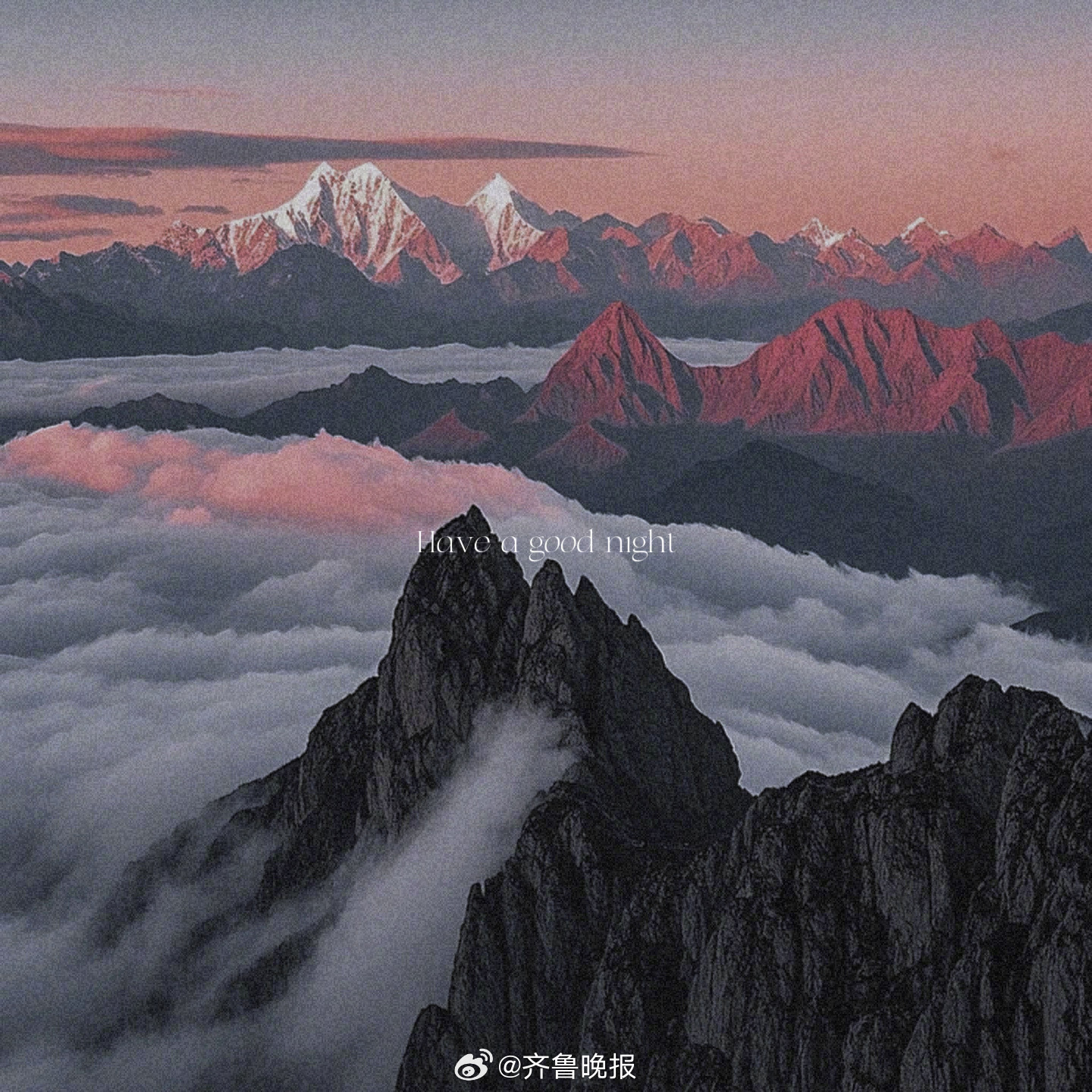 在无人问津的时光里野蛮生长[月亮]#晚安# ​​​