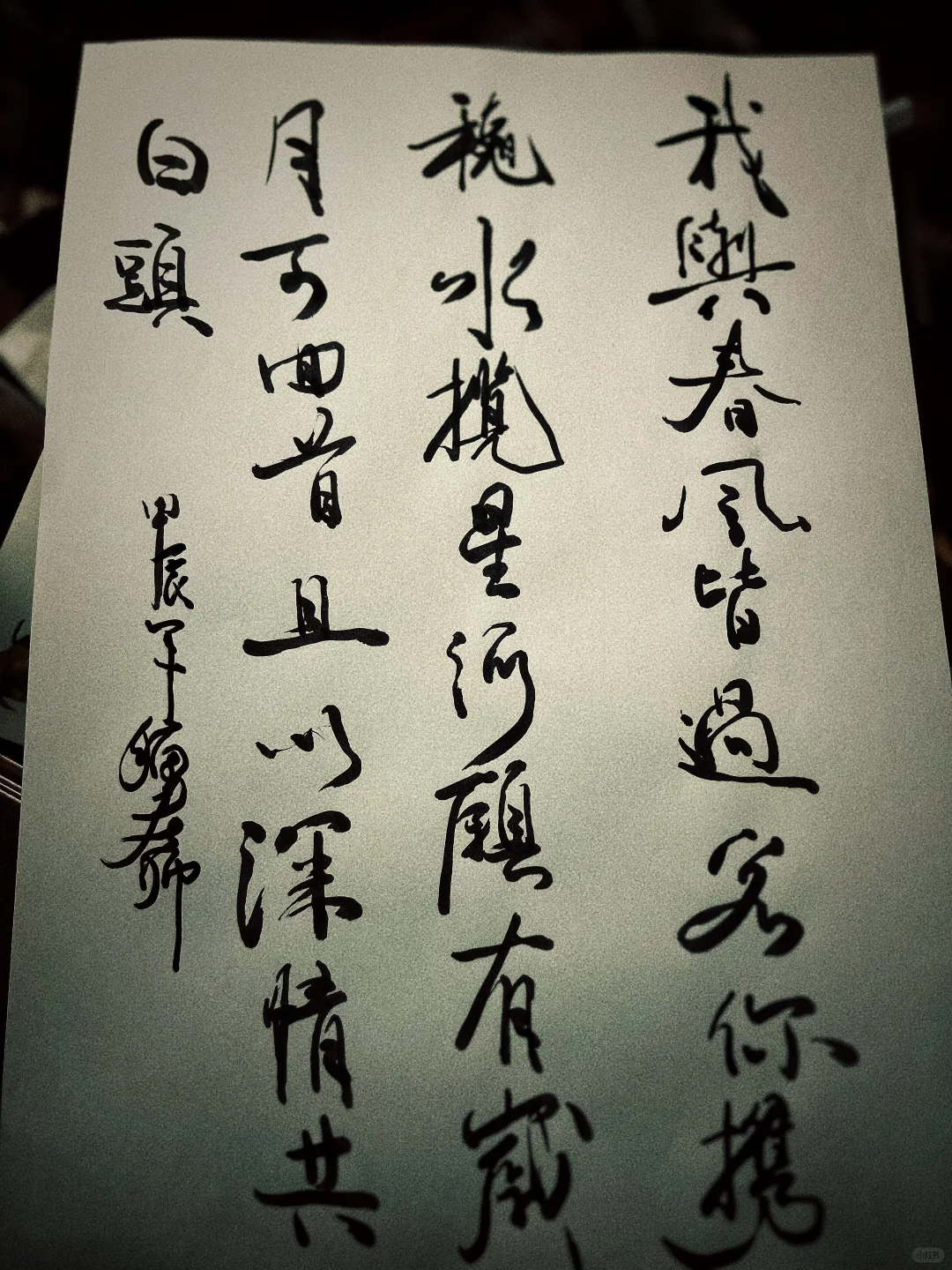 我与春风皆过客，你携秋水揽星河什么意思