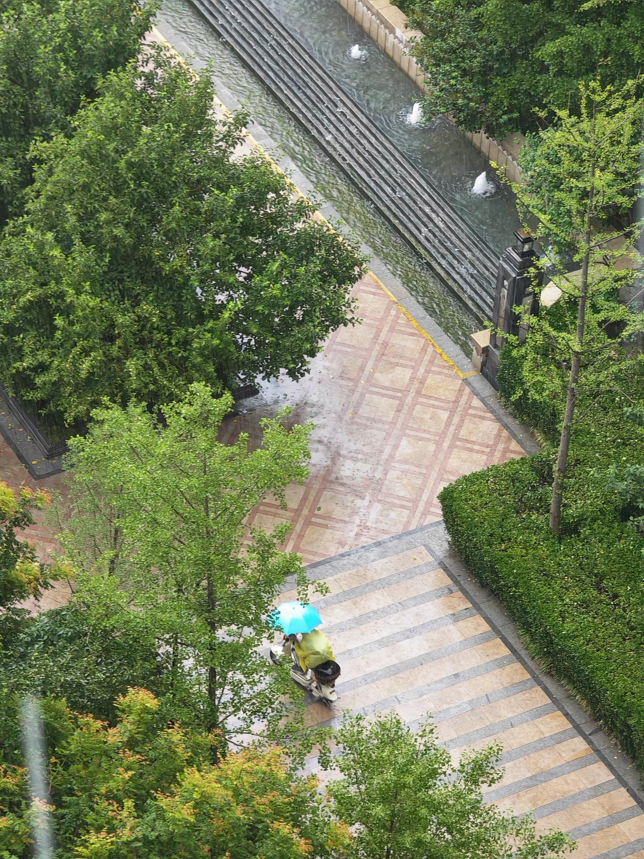早上的雨不小。三个方案提供给某同学，他坚持可能最多淋雨，也最不安全的方式去学校。