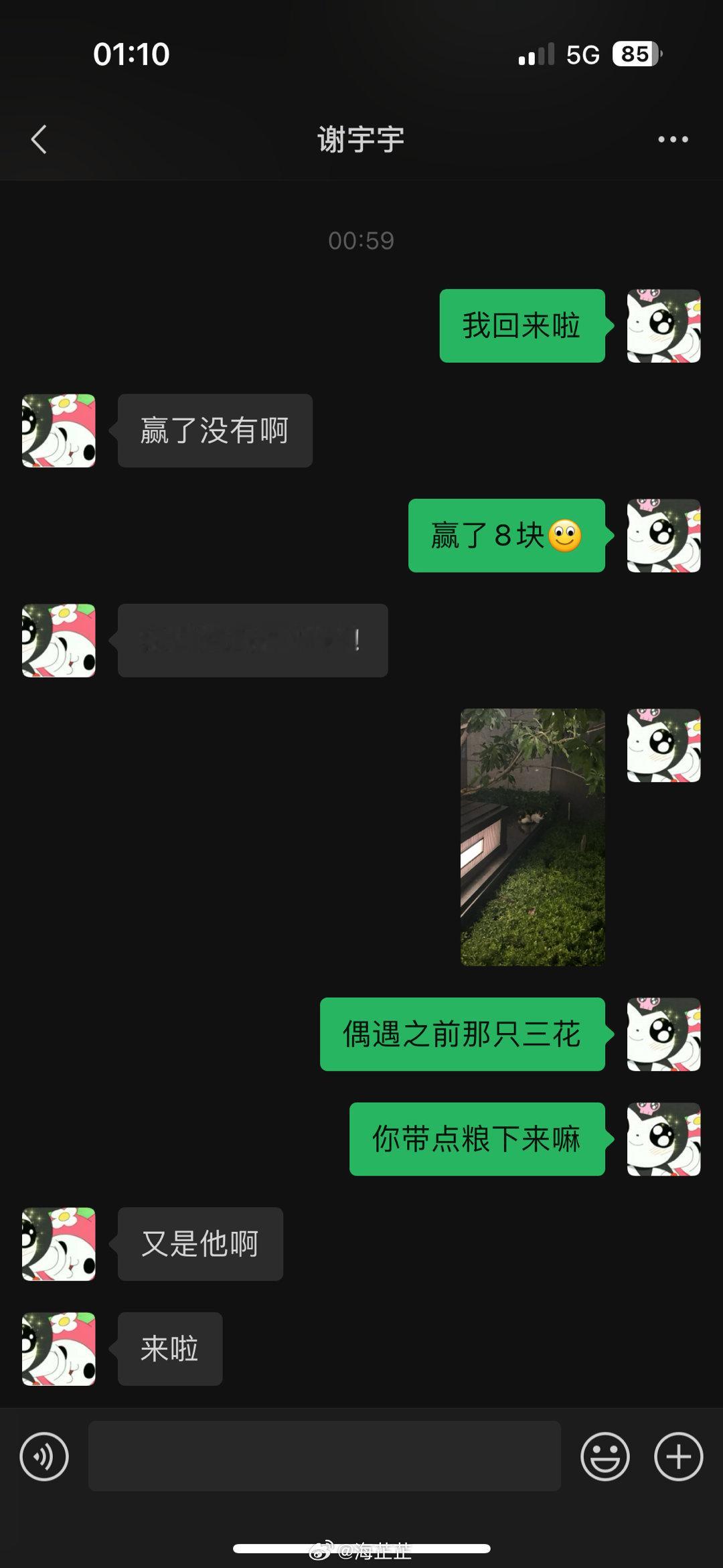 小学生流水账之偶遇了之前的三花美女 想给他找领养但又不是容易的事🥲 ​​​