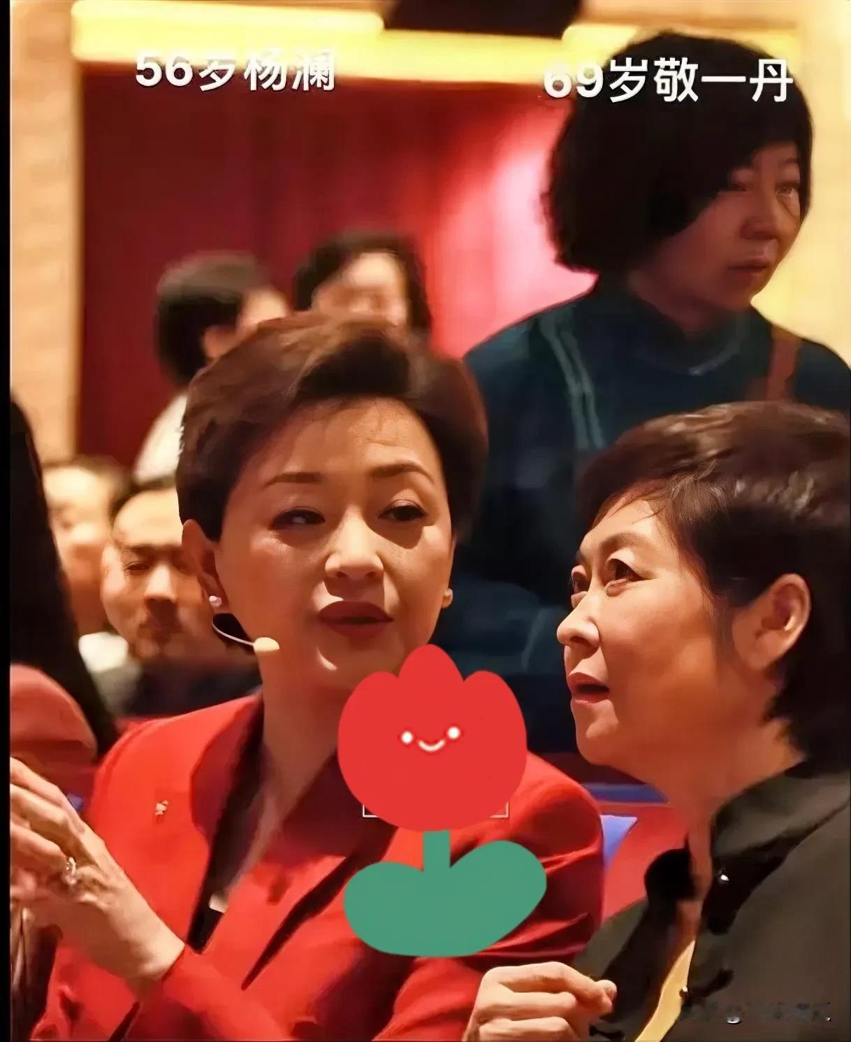 教一丹和杨澜两位主持人同框十分的亲密，敬一丹已退休快10年，但风采依旧，气质仍存