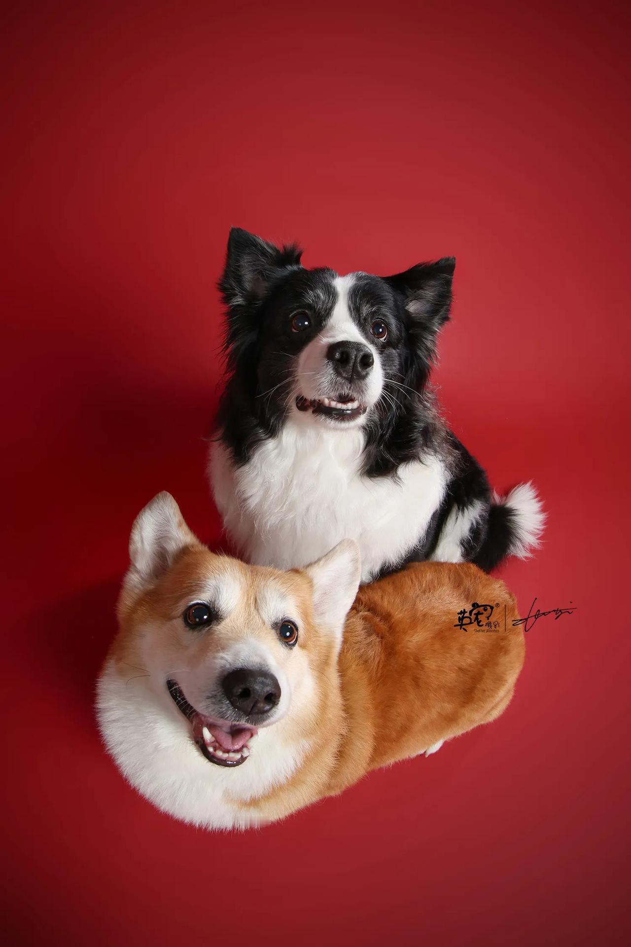 叠叠乐吗？
我跟！😝
【上海拍摄】